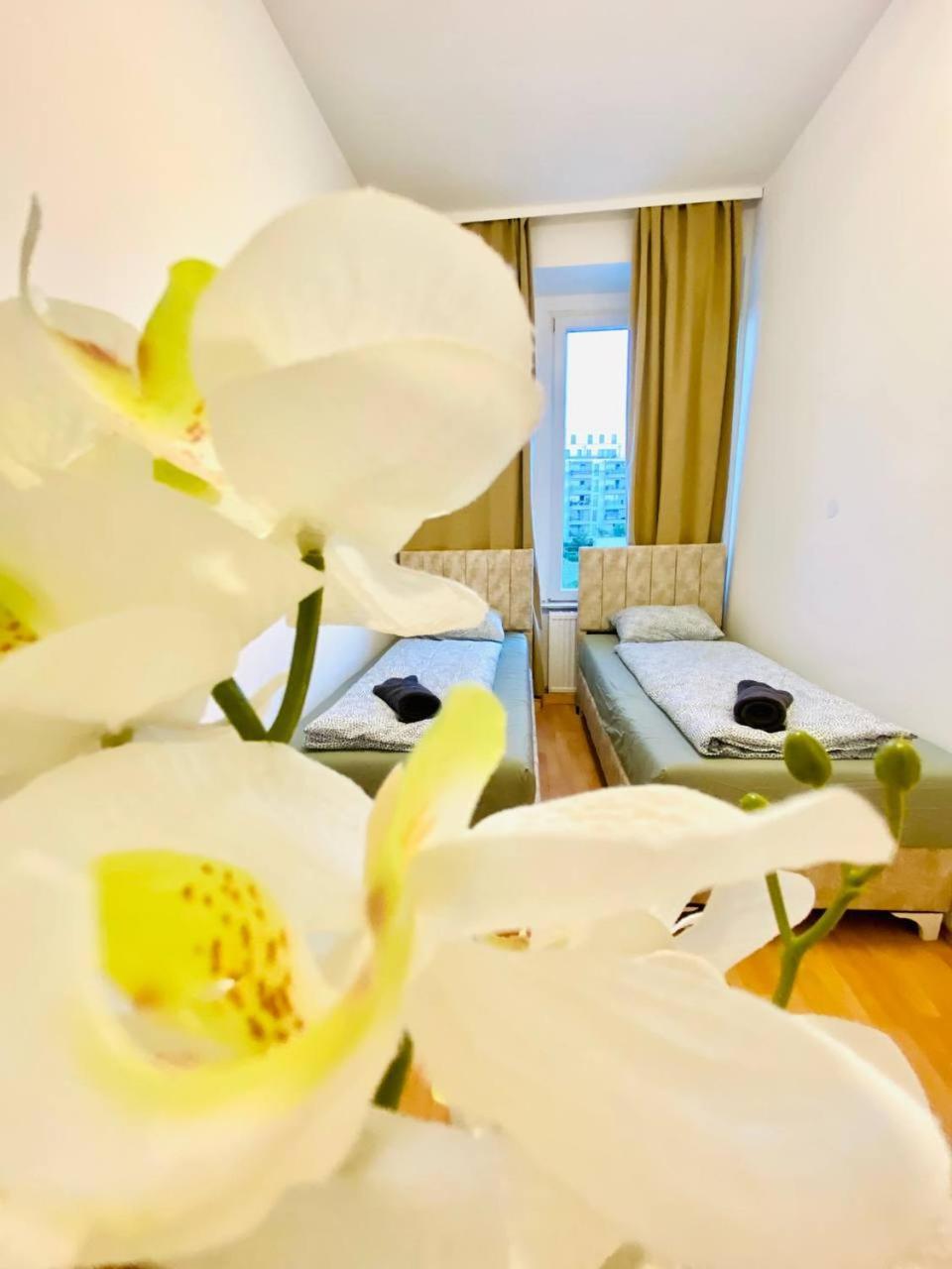 Comfortable Room In The 23Rd District Of Vienna Fr4 エクステリア 写真
